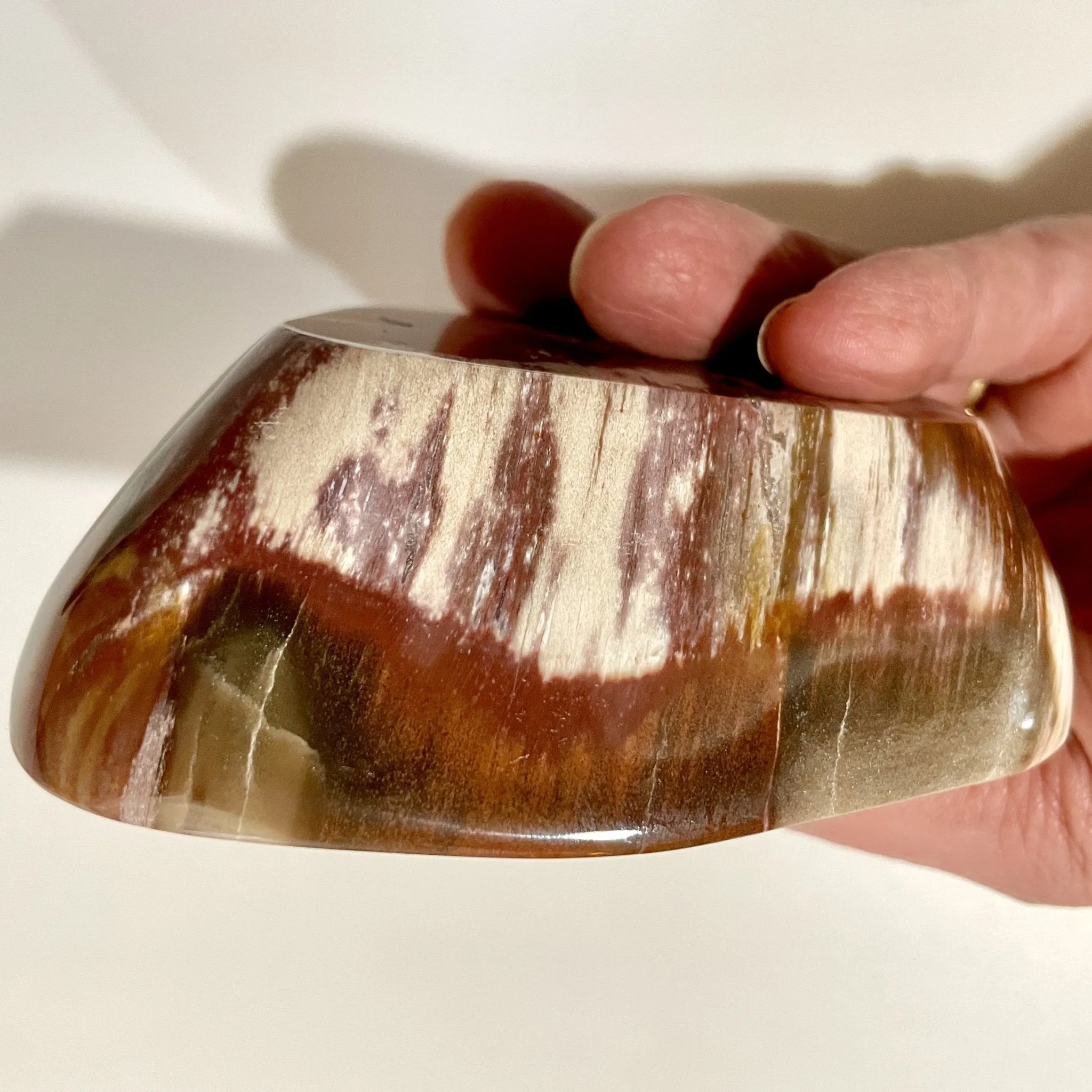 Ancient Lines Petrified Wood dish
