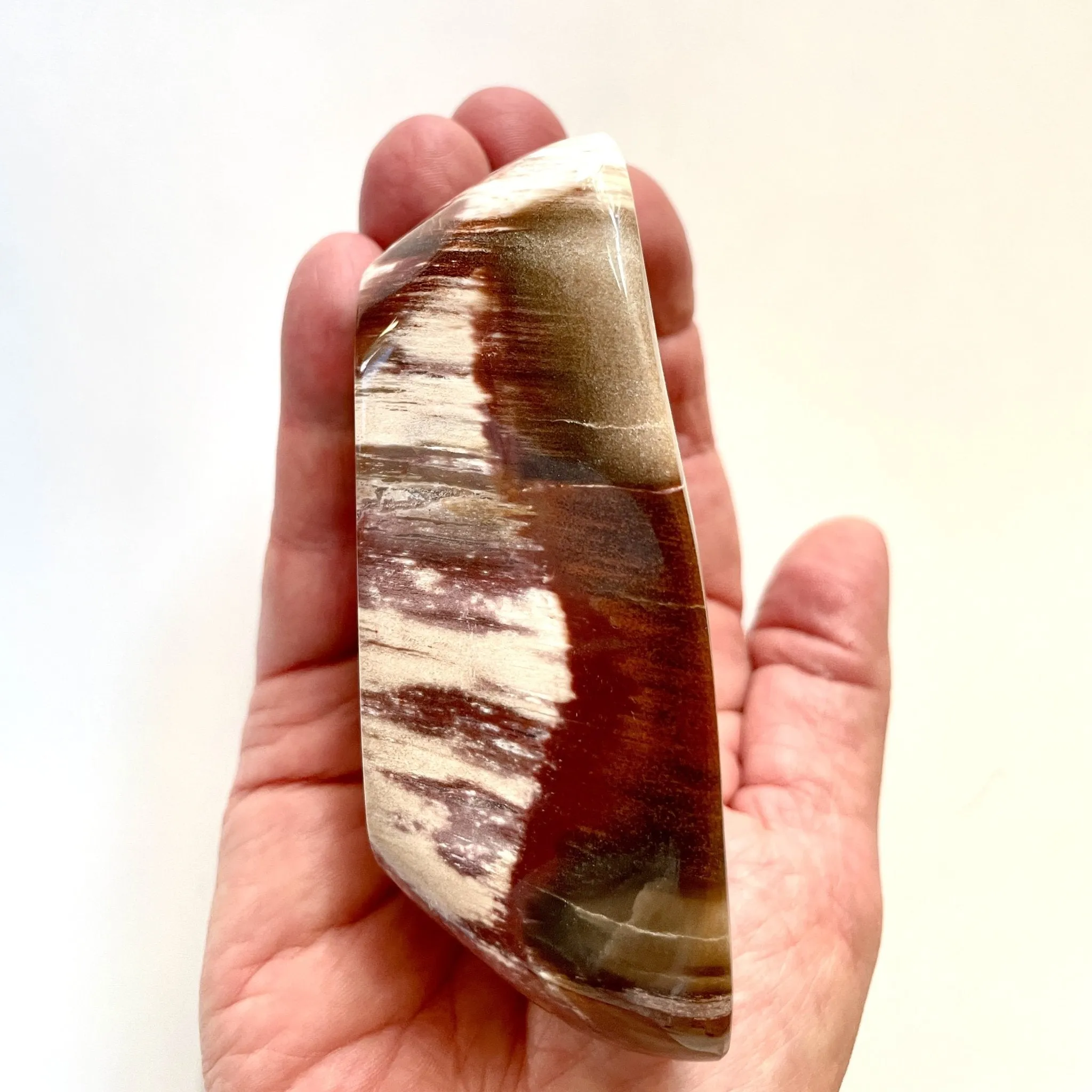 Ancient Lines Petrified Wood dish