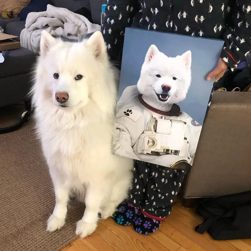 Astronaut Pet Portrait