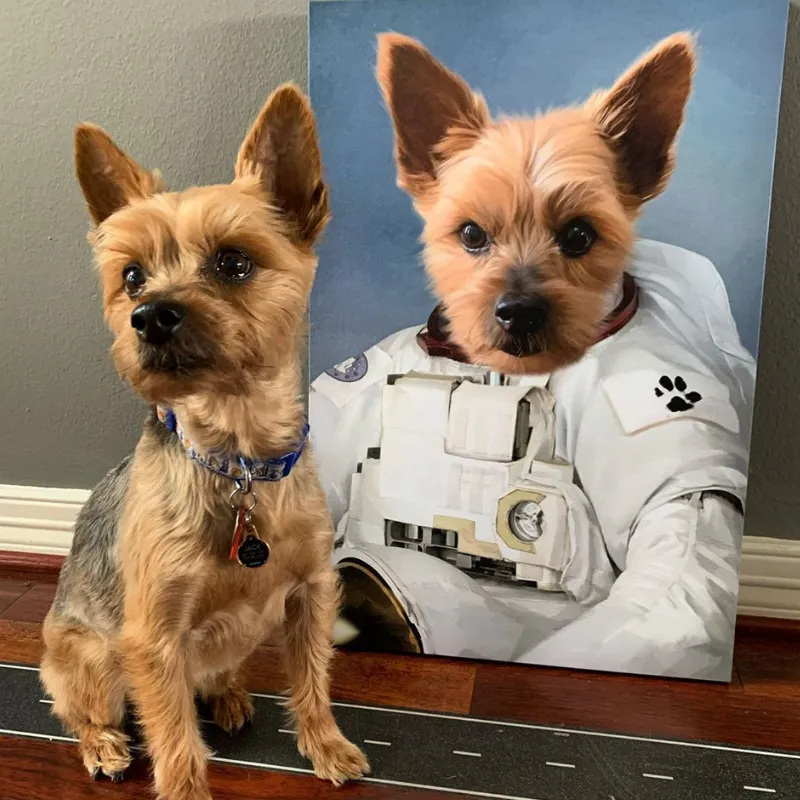 Astronaut Pet Portrait