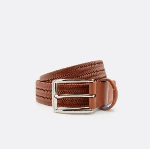 Beltology Brown Litmus Belt