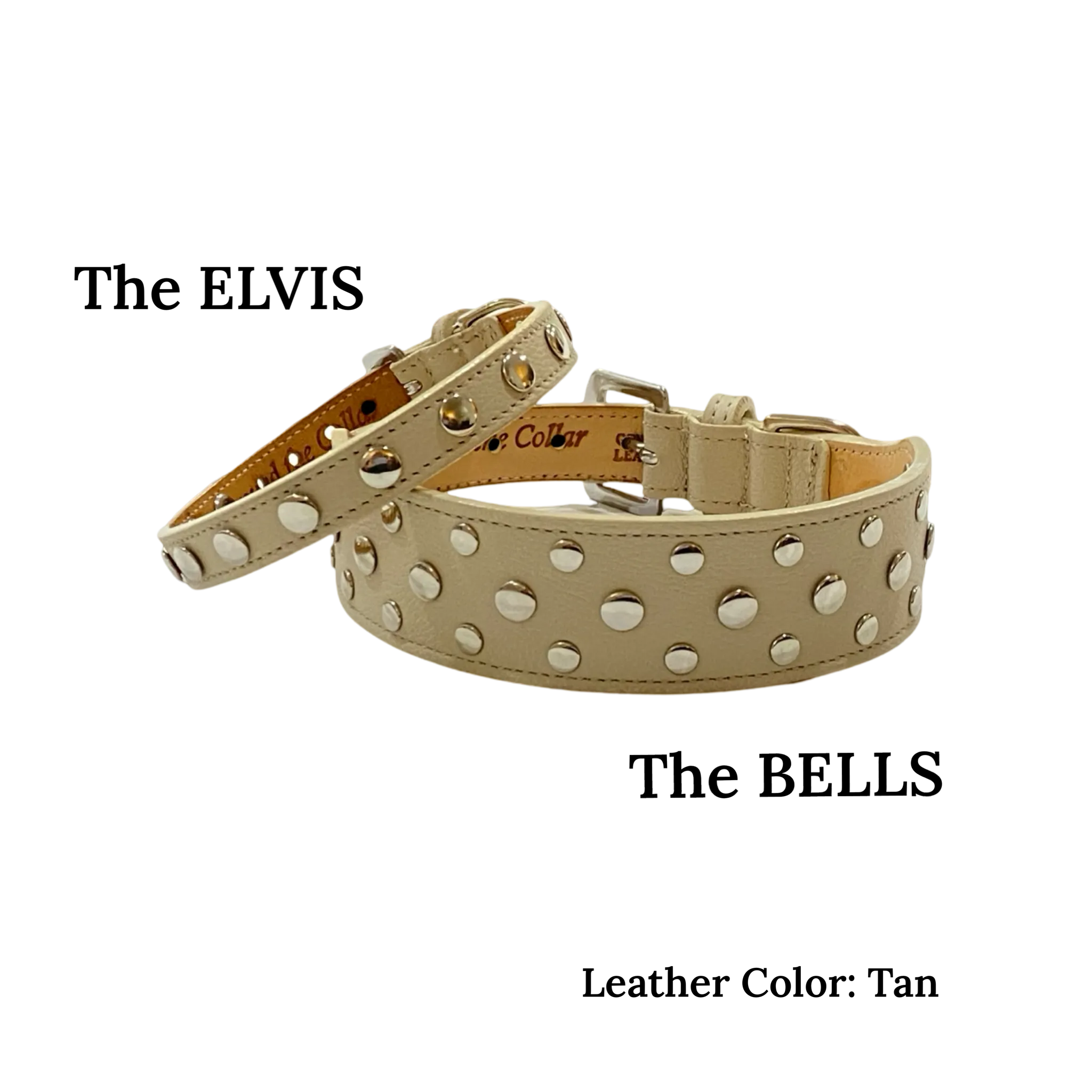 ELVIS Single Row Nickel Studs Leather Dog Collar