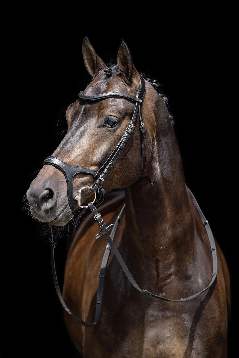 HKM Bridle Anatomic Sports