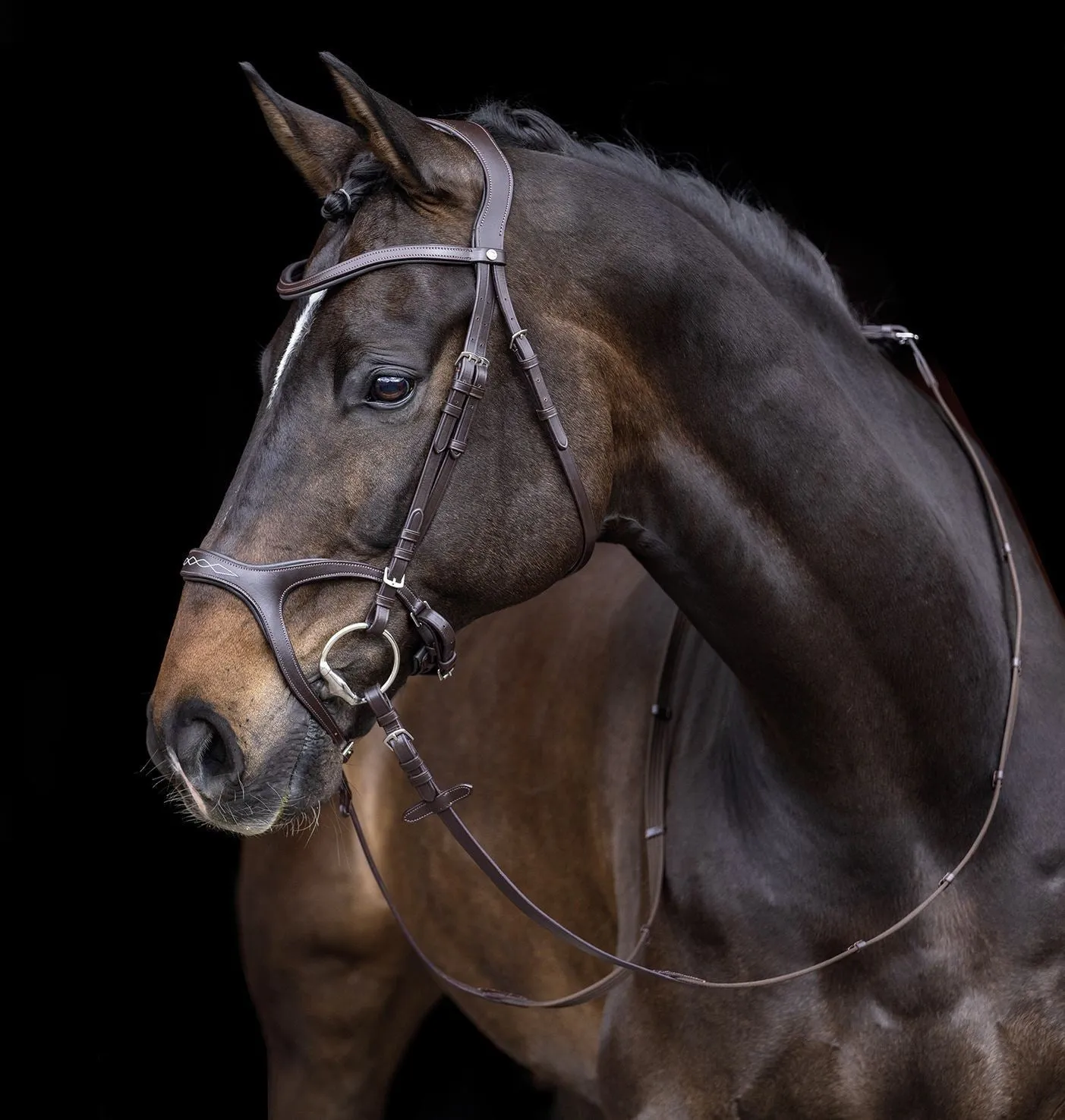HKM Bridle Anatomic Sports
