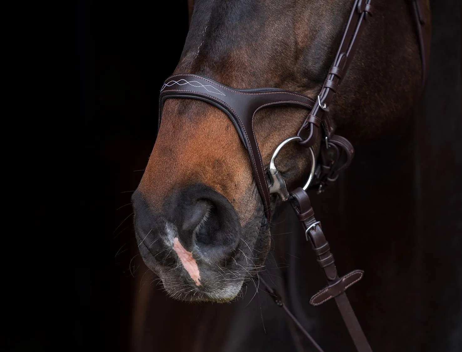 HKM Bridle Anatomic Sports