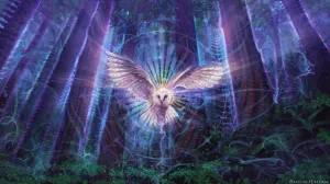 Night Owl - Canvas Prints