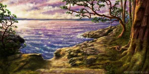 Secret Cove - Canvas Prints